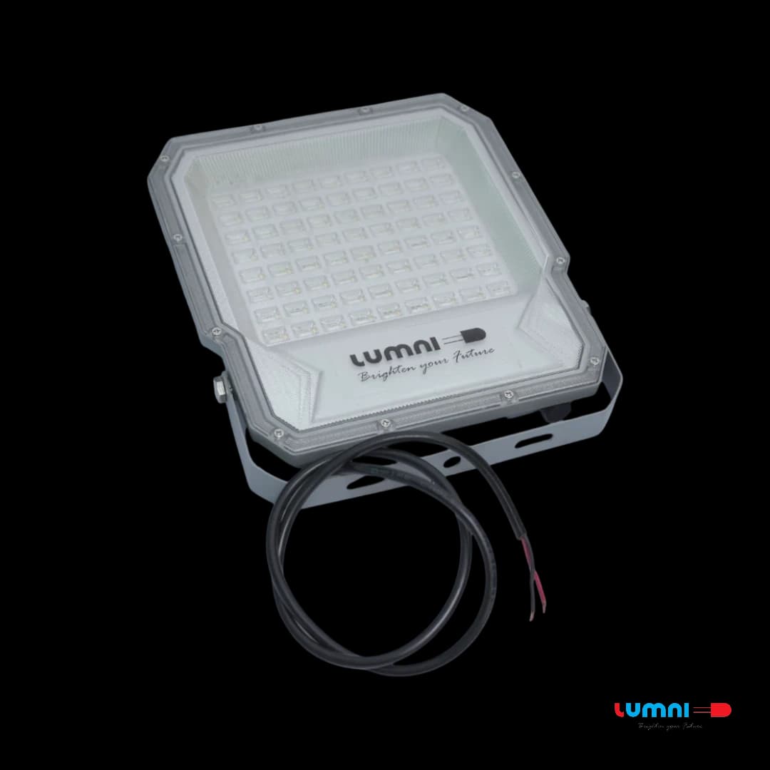 FLOOD LIGHT-100W-No Warranty – 2